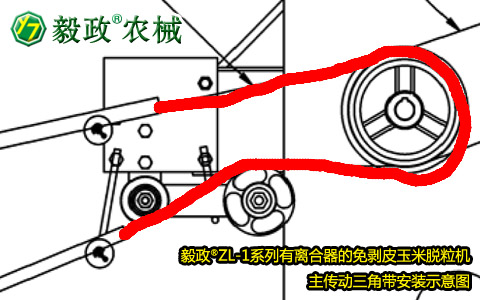 毅政牌ZL1系列有離合器的免剝皮玉米脫粒機(jī)，主傳動三角帶正確安裝